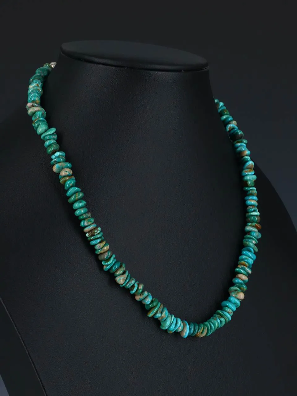 18" Single Strand Fox Turquoise Necklace