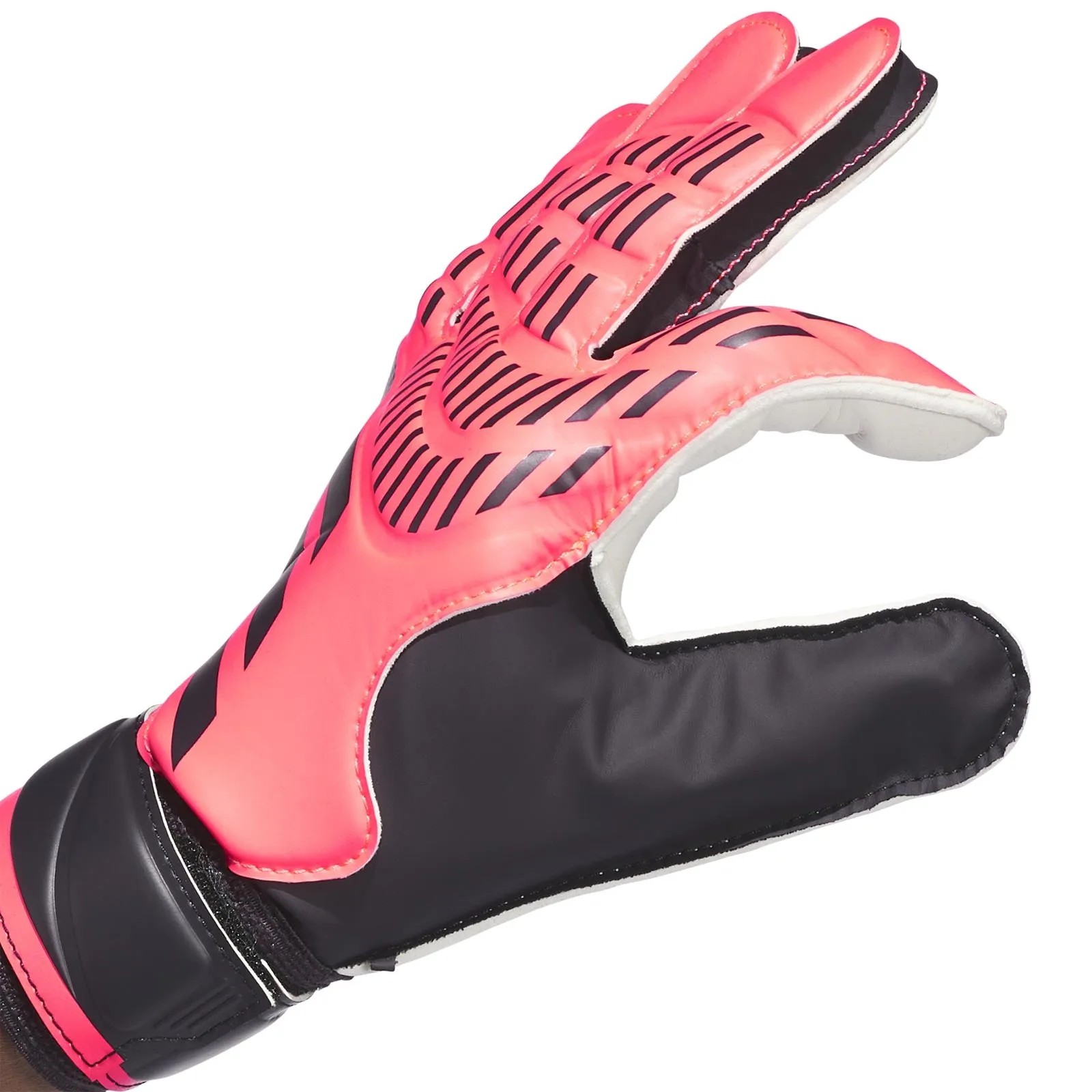 adidas Predator Goalkeeper Football Training Gloves