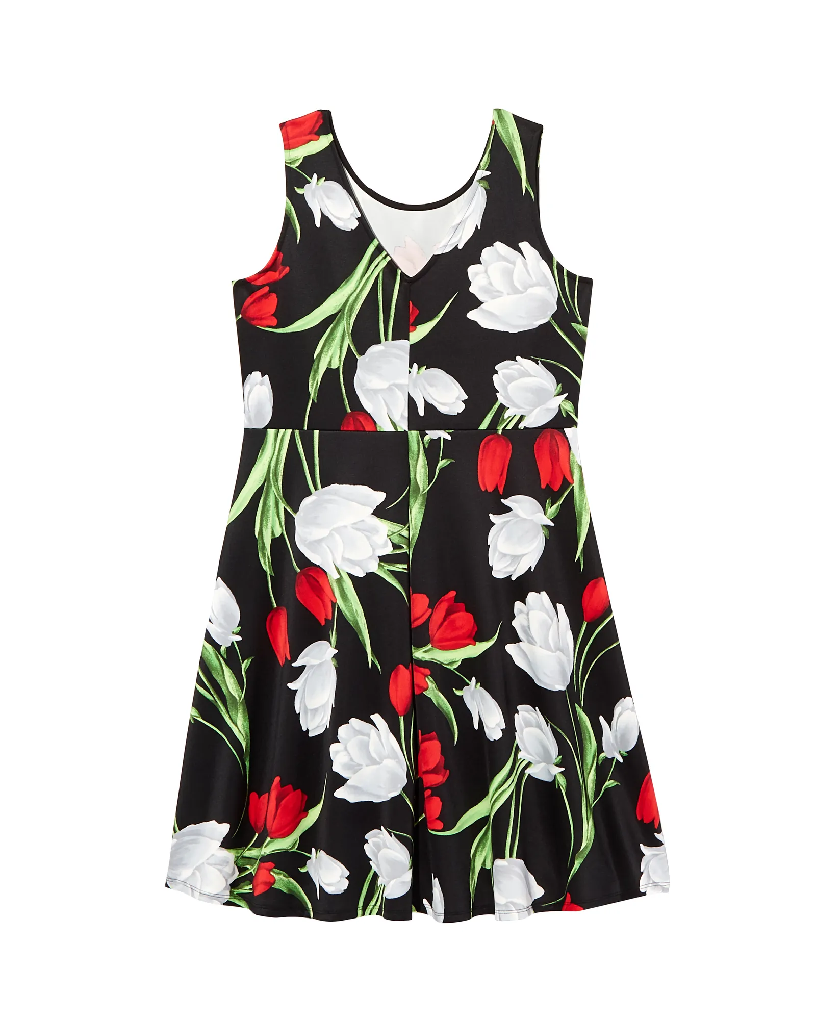 Belmont Fit and Flare Floral Dress | Black / Red