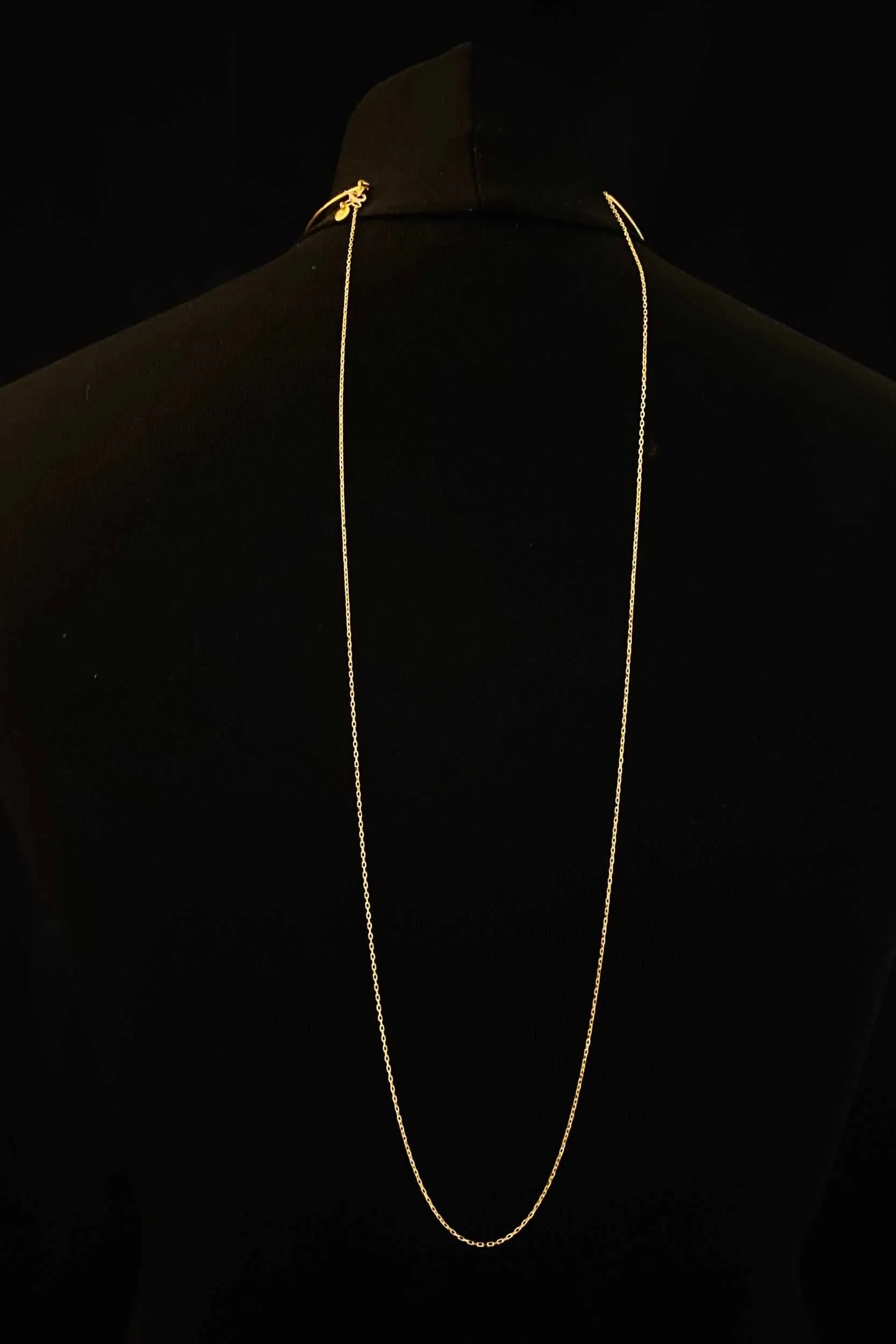 Golden Tail Choker Rough Diamond