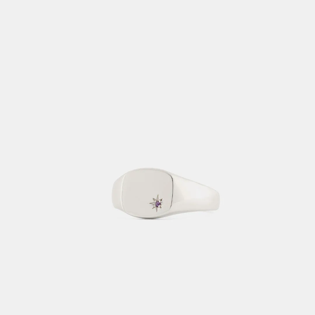 Silver Amethyst Birthstone Ring